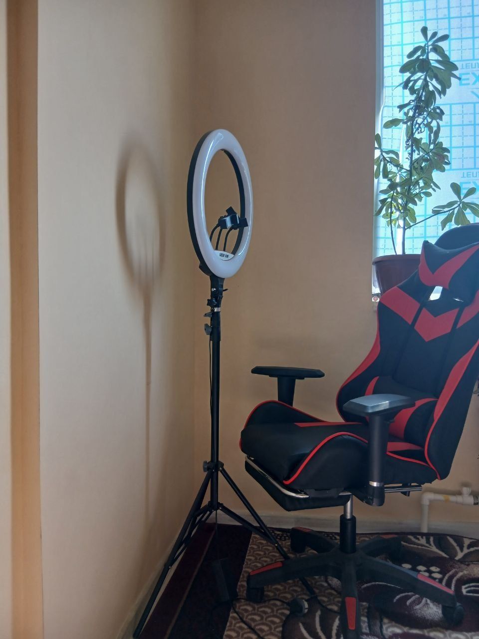 Ofis uchun qulay oʻrindiq va  blogerlar uchun lampa