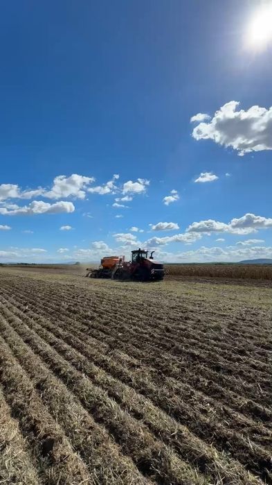 Servicii de semănat grâu/rapită cu Mzuri 4tx