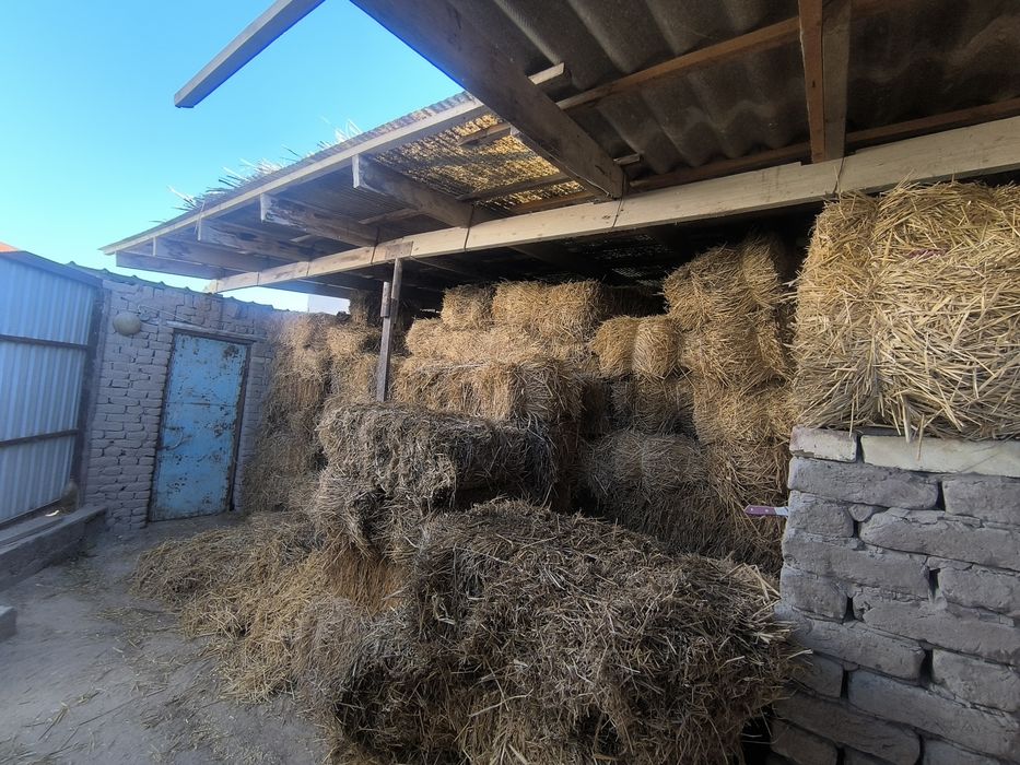 Biyday saban bar SATILADI