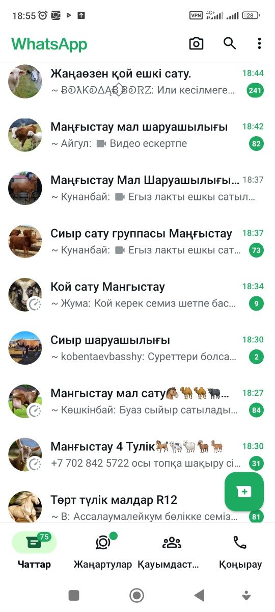 Қой,ешкі,сиыр,жылқы түйе