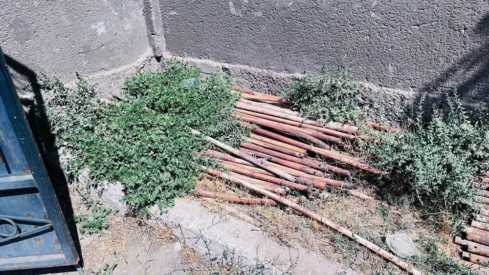 ПАРНИК,ЖЫЛЫ жәй 50×10