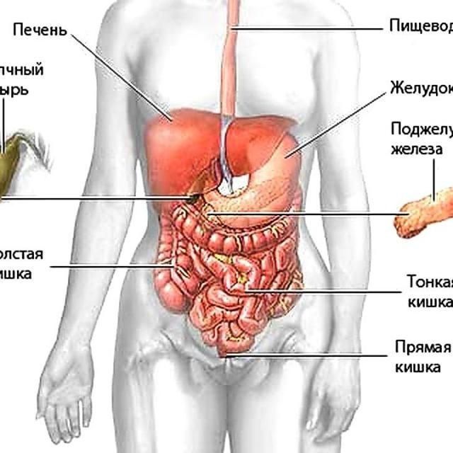 Уролог / Проктолог в Астане