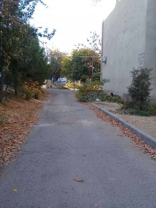 Иппотека под Офис 2х.ком.кв..1этаж Торец,подвал,огород77 серия.60кв.м.