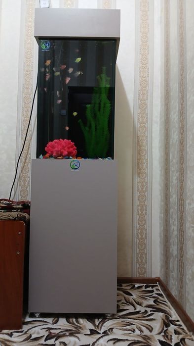 Akuarim sotiladi ichidigilari bilan