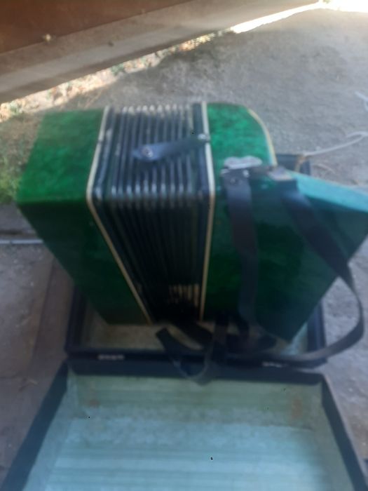 Гармошка малыш бу