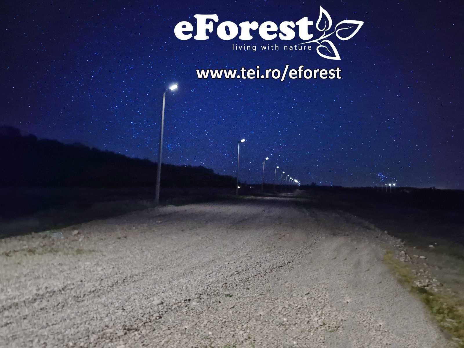 eForest 2 , terenuri la padure direct din DN1A