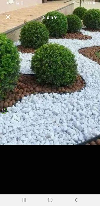 amenajam spați verzi brazi spirale