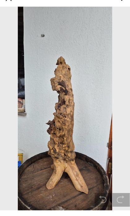 Povestea lemnului : Măslin si Cireș