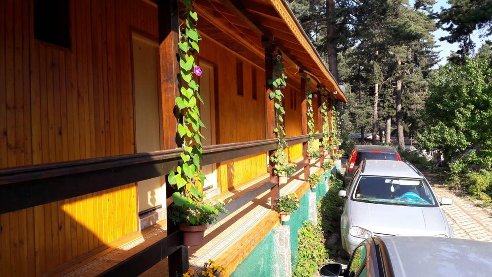 Дава се под наем Къща в с. Равногор, Област Пазарджик - 391 кв.м за 4845 € - Снимка #5