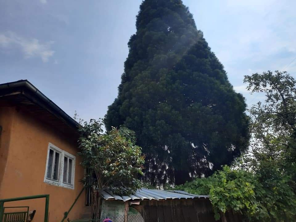 Продава се Къща в София, Надежда 1 - 83 кв.м за 338 €/кв.м - Снимка #3