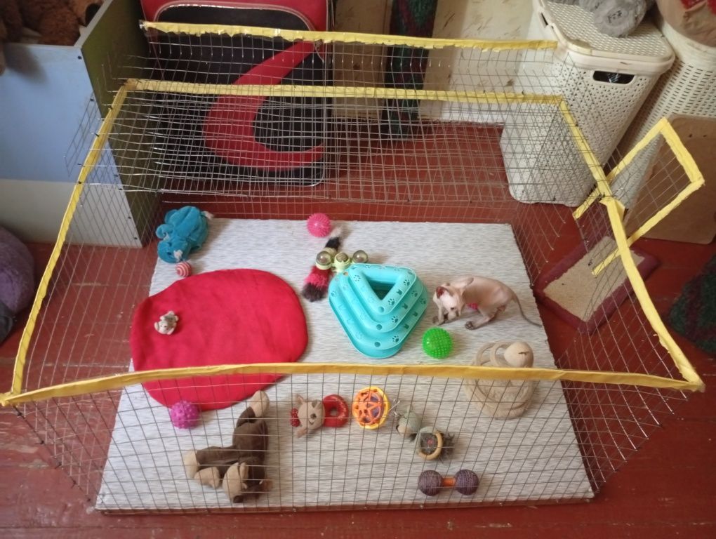 Клетка для котят.