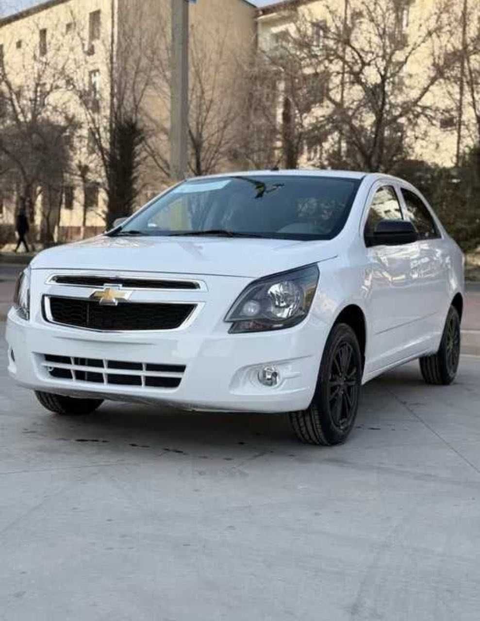 Cobalt midnight peniya va ribosiz