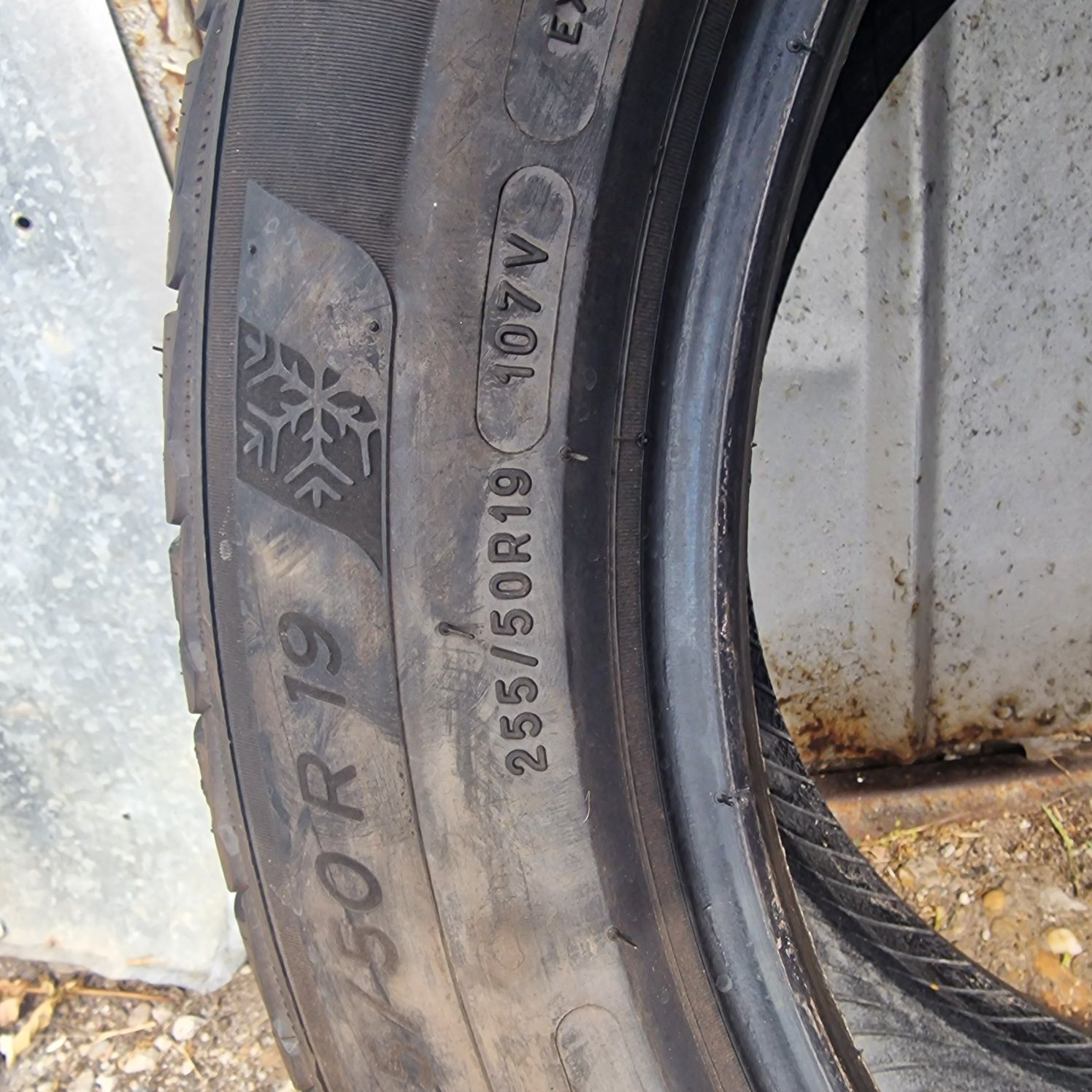 MICHELIN Pilot Alpin 5 SUV 255/50 R19 107V
