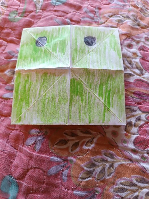 Жабешка солничка