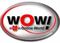 Program diagnoza WOW Wurth