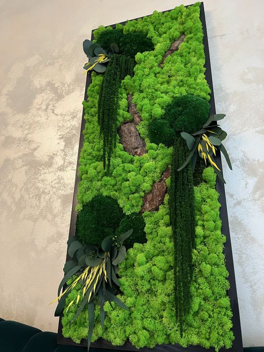 Tablouri cu muschi, licheni si plante naturale stabilizate