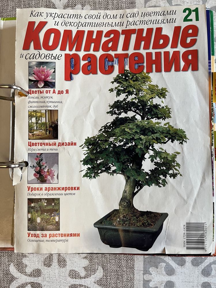 Издание Комнатные растение. Выпуск 2004 года