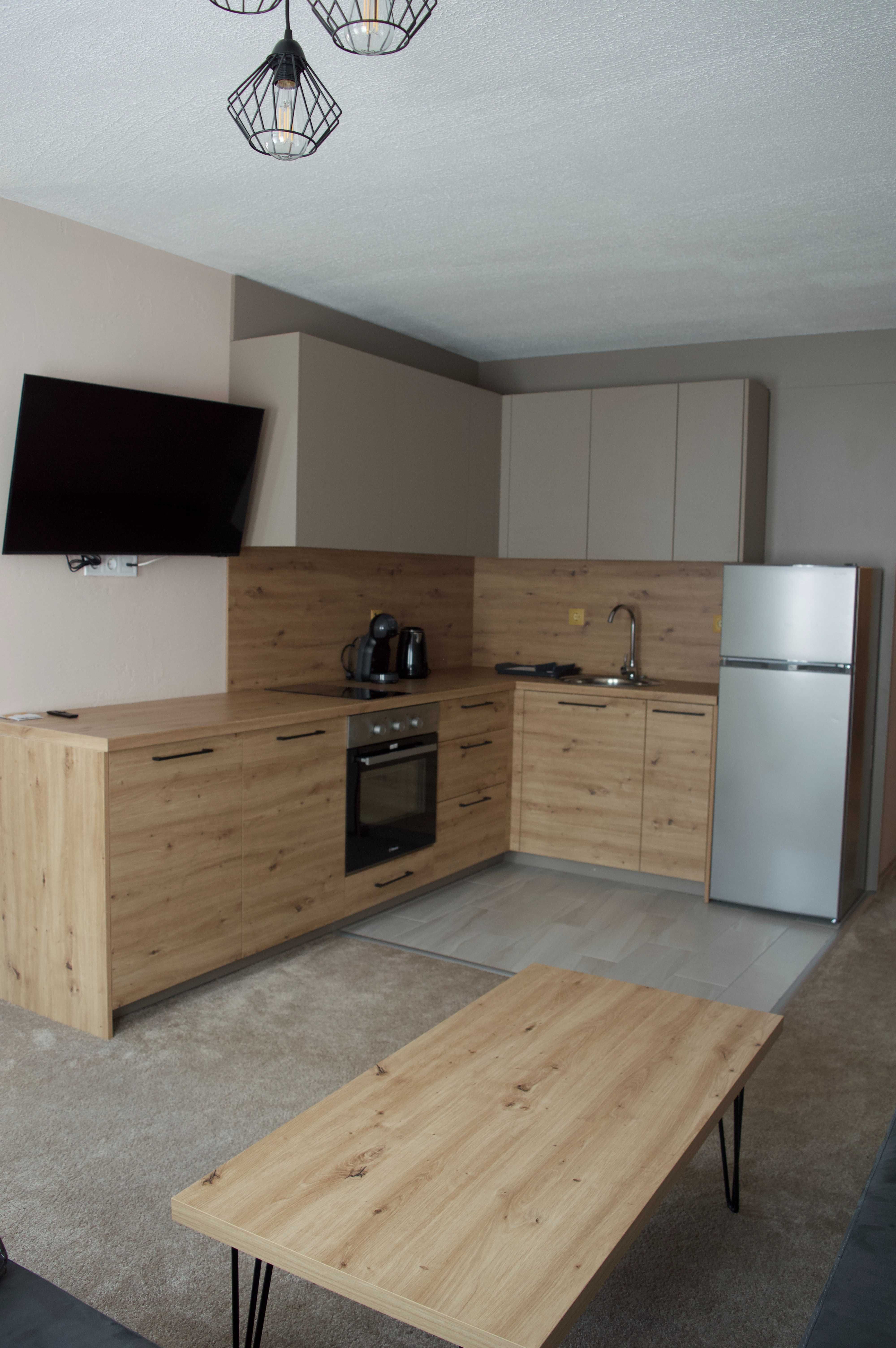 Sokolovi apartment, The bear Pamporovo