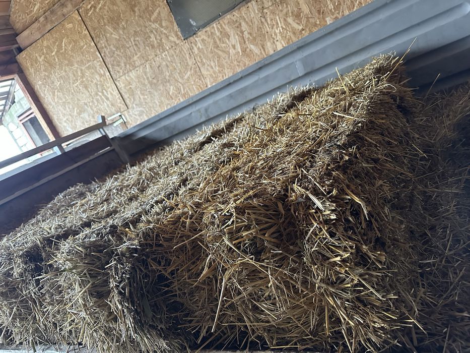 Baloti de Paie pentru asternut caini, pasari, animale / Parlit Porcul