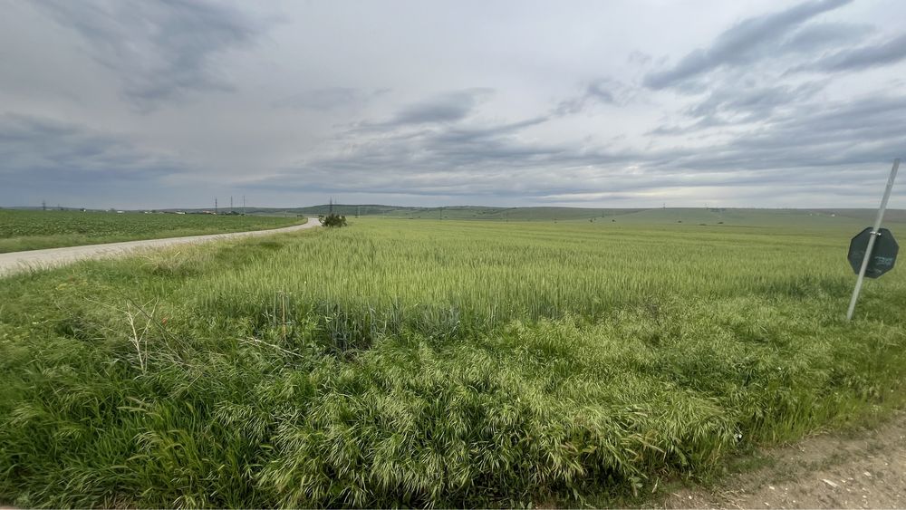 Se vinde teren in isalnita