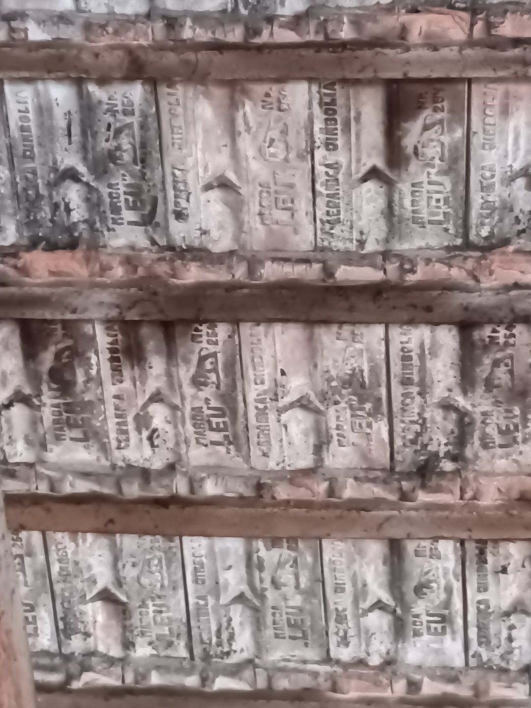 Țiglă ceramică Leu