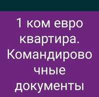 1 ком центр евро Командировочные документы