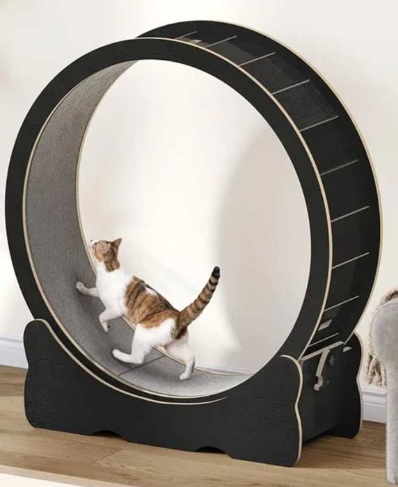 НОВО! XL КОТЕШКО КОЛЕЛО за бягане, игра и тренировка, 299лв.