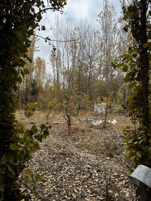 Uy sotiladi 10 sotixli 5 xonali fayzli