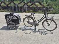 Biciclete Import olanda