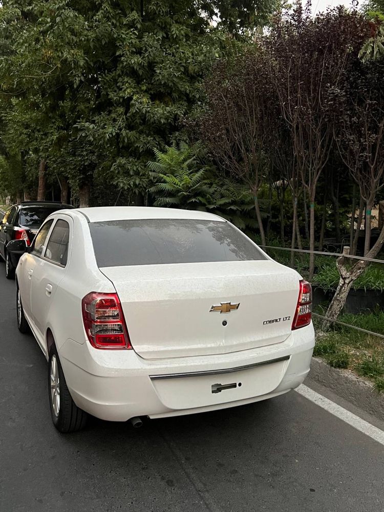 2025 Cobalt Stayl 12.700$