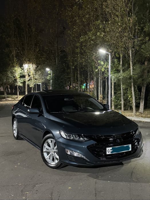 Malibu Orginal Premier 2021yil Parlament rang