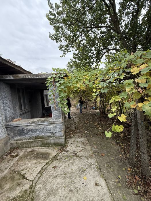 Vand Teren 970 mp cu casă + anexe, Stănești–Bălănu