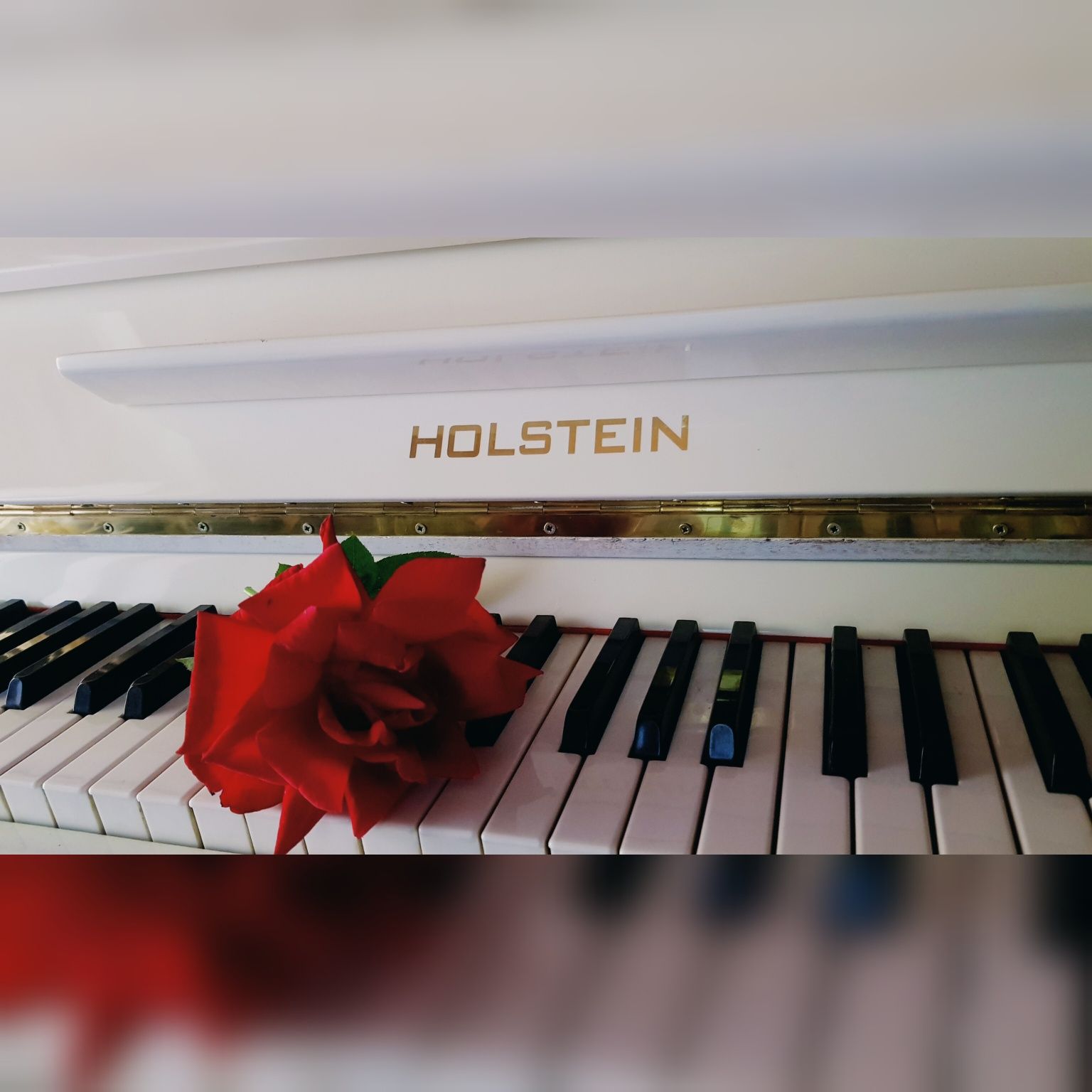 Белое фортепиано "Holstein"
