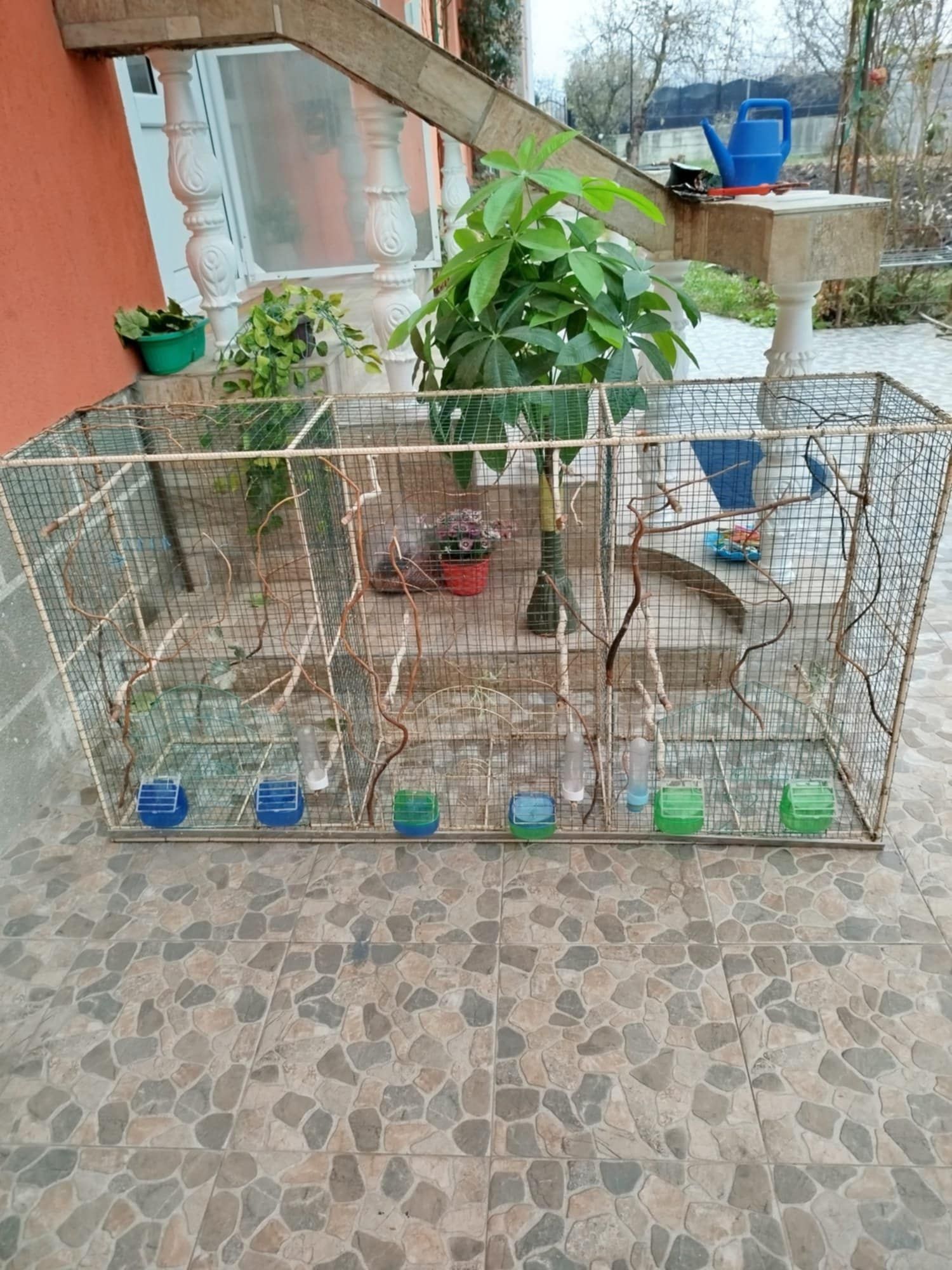 Vând cușcă 3 conpartimente