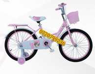 Bicicleta 20'' pentru fete,cu cosulet 8-12 ani, roz