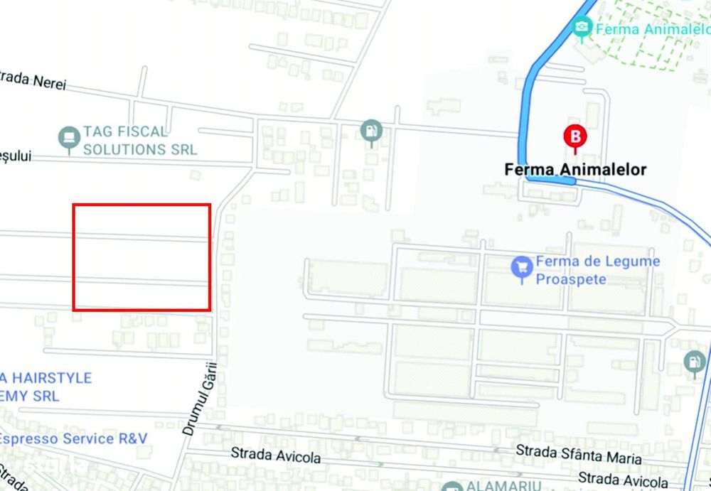 Teren de vanzare - Comuna Pantelimon / Ferma Animalelor