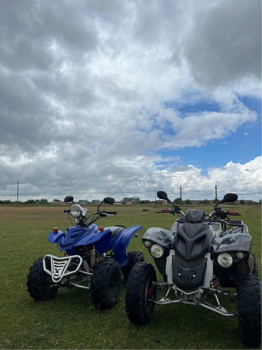 Vand atv bashan 250