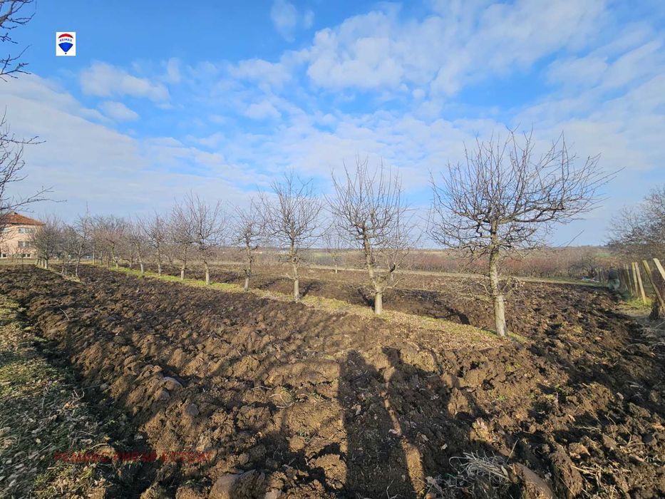 Продава се Парцел в с. Борисово, Област Русе - 1969 кв.м за 7 €/кв.м - Снимка #3