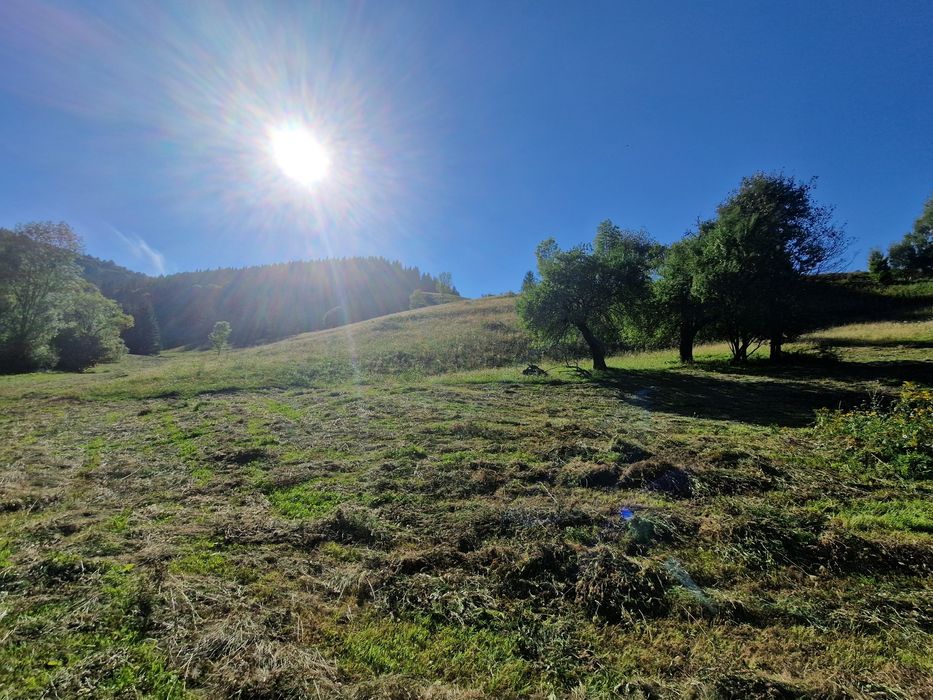 Teren 3,3 hectare intravilan + extravilan, Ilva Mare
