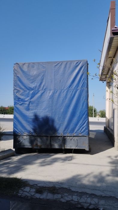 Tentli kuzaf sotiladi..!