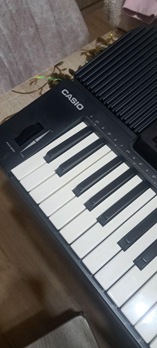 Orgă electronică CASIO