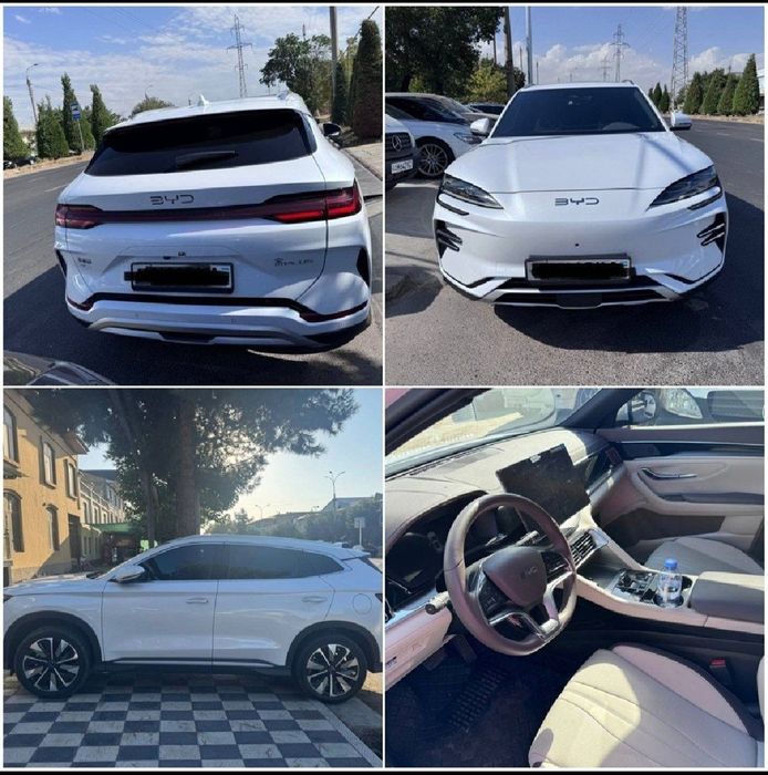 BYD Chempion 605 restayning