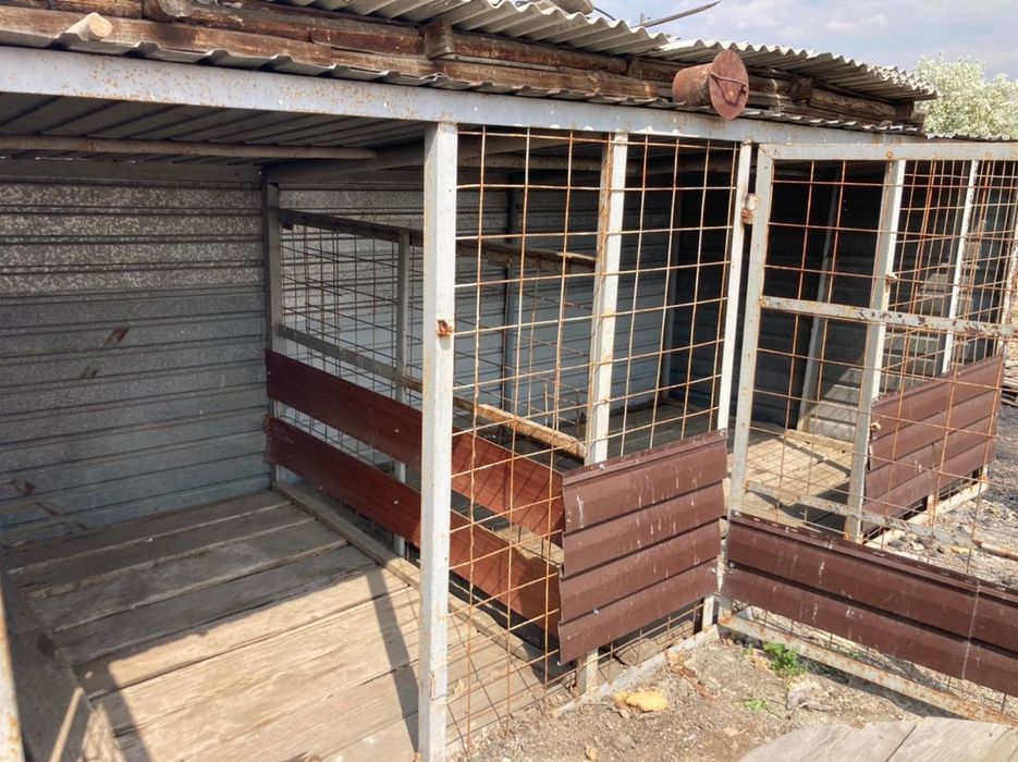 Вальер для собак