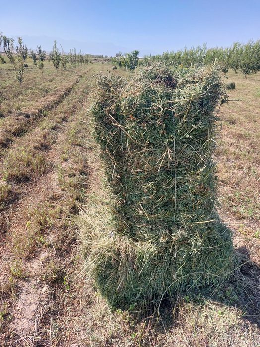 Beda Press Беда Прес Fargona Fergana Beda pres Фарғона Пресс Beda Pres