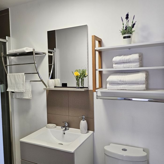 Cazare Casa Cibian Brasov