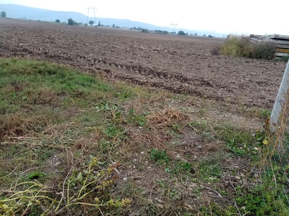 Teren de vanzare Letea Veche Bacau