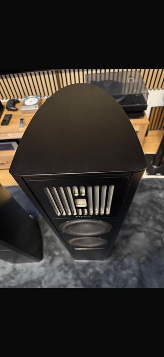 Piega Coax 90.2/Swizerland
