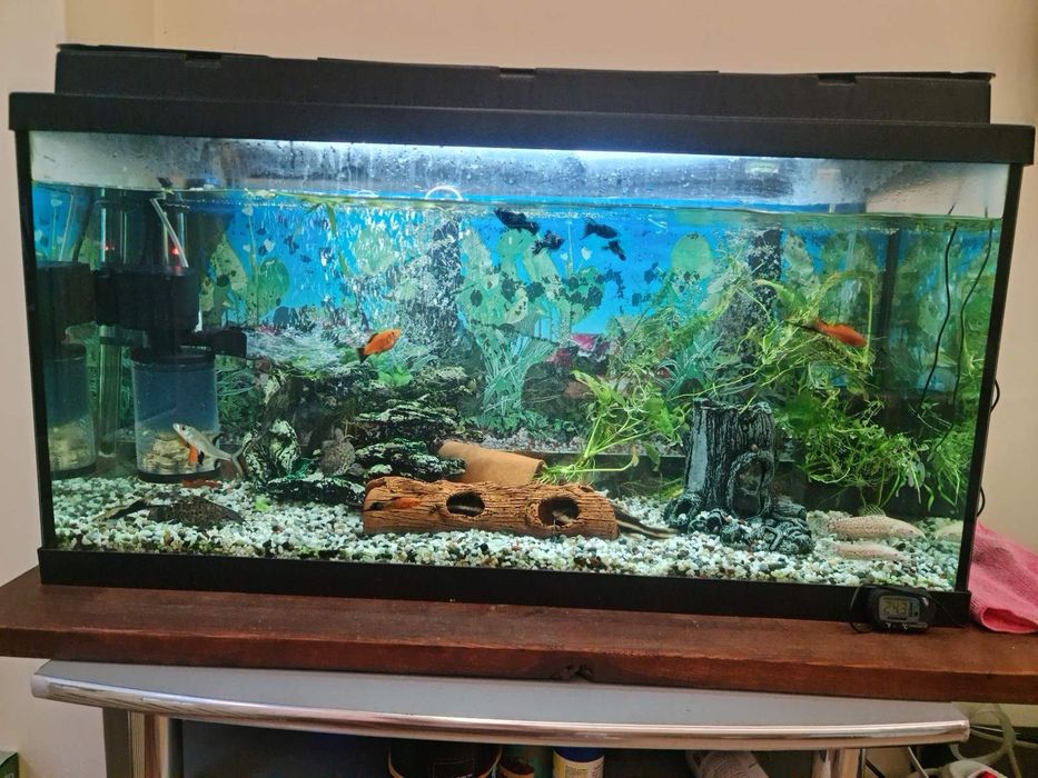 Продават се 2 аквариума 100 литра и 260 литра