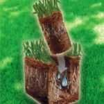 Aerator gazon cu carotare