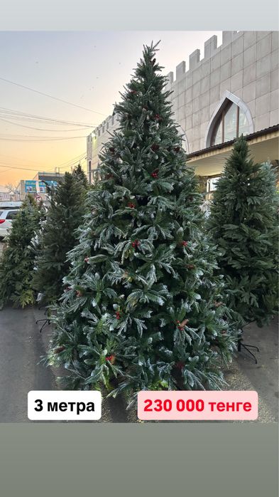 Доставка бесплатная по всей Алмате